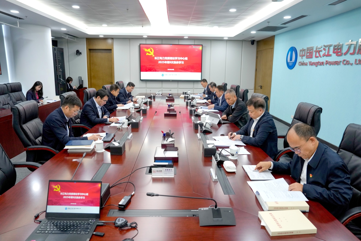 必赢亚州bwin电力党委理论学习中心组专题学习党的二十届四中全会精神